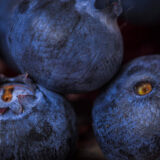 48991511_2206604436280335_4257401012358217728_n