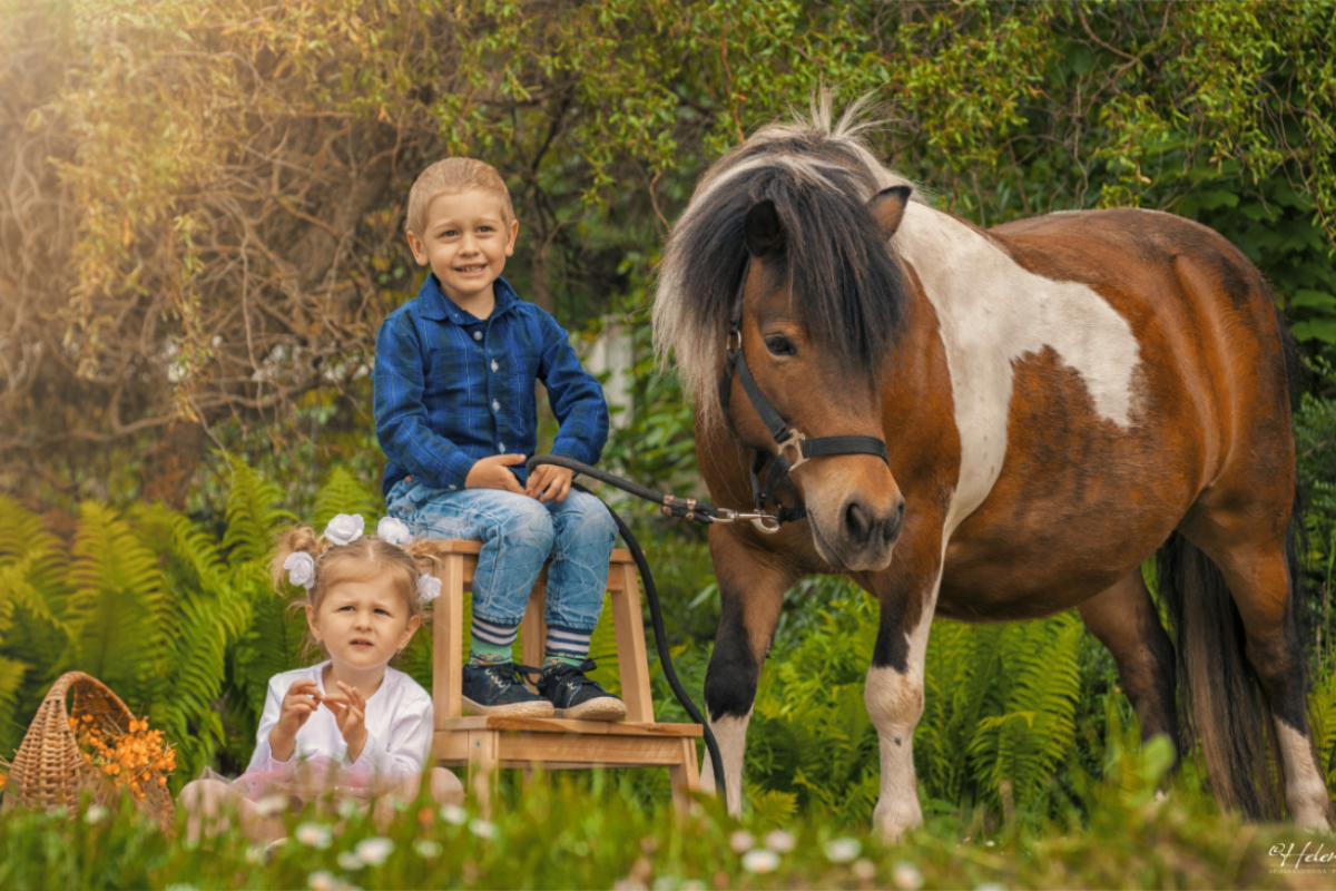 AKCE ČERVEN – FOCENÍ S KOŇMI