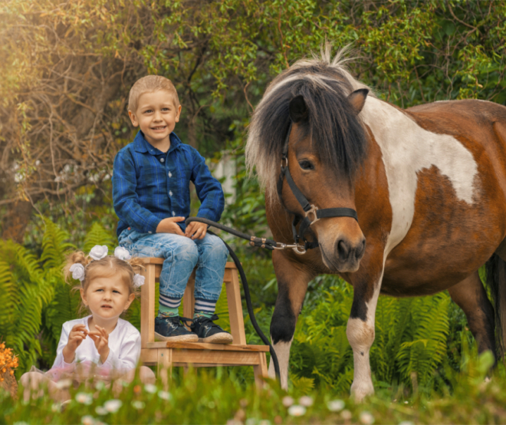 AKCE ČERVEN – FOCENÍ S KOŇMI