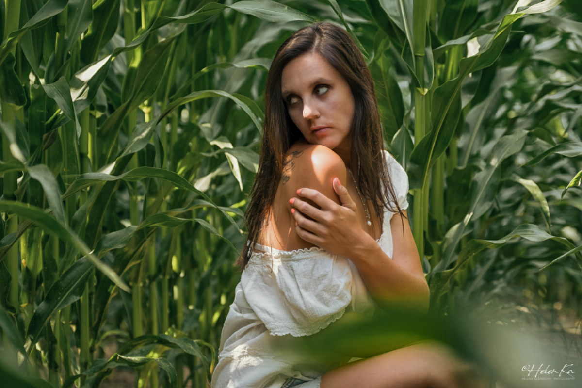 Když se to všude zelená